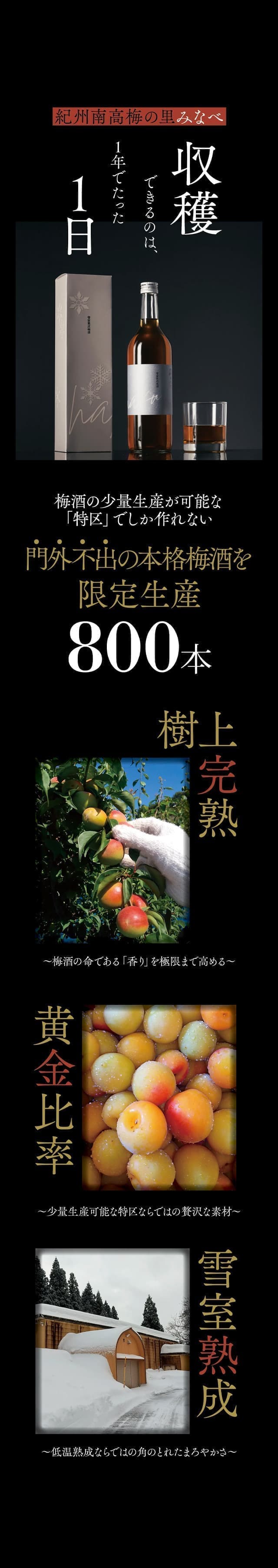 光子内親王、寒紅梅に水仙、超希少・大判画集画、新品高級額装付 光子内親王、寒紅梅に水仙、超希少・大判画集画、新品高級額装付 光子