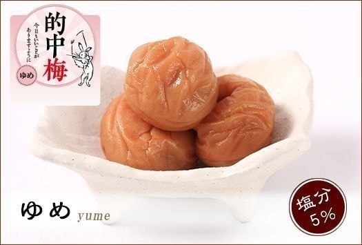 ムーミン　梅干し10kg 紀州南高梅【最高ランクA級品】ほんまもんの梅干し（塩分20