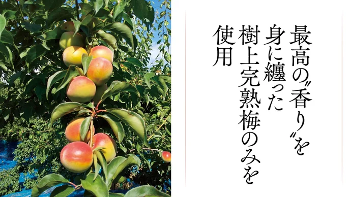 detail_44701_17307251190106.png