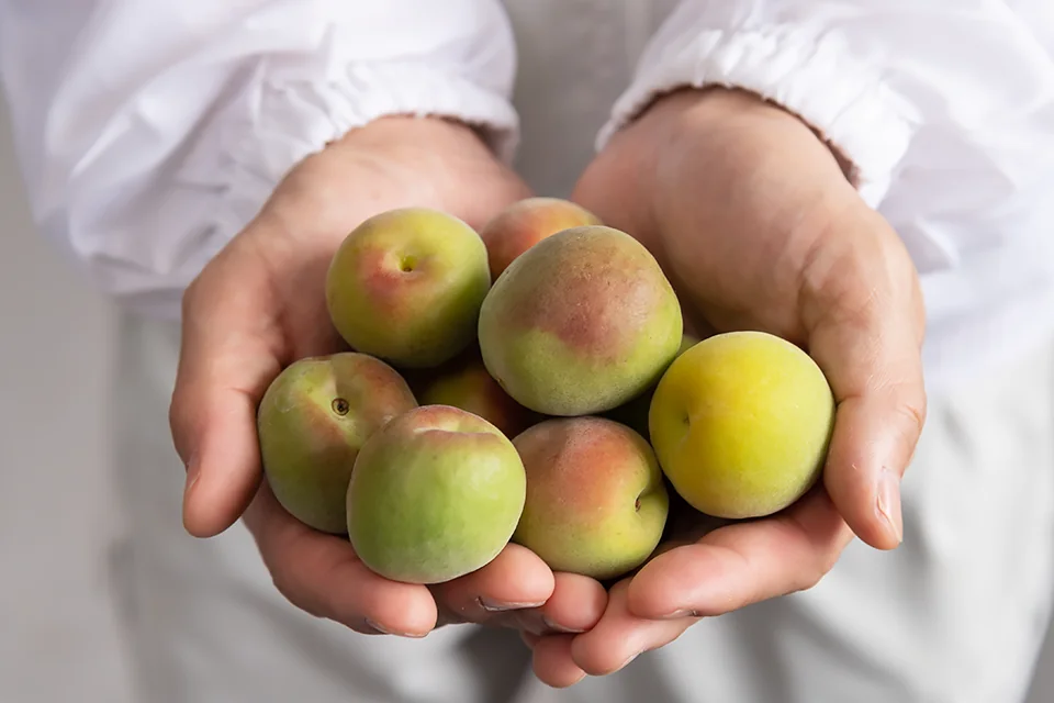 梅酒に使用される完熟梅